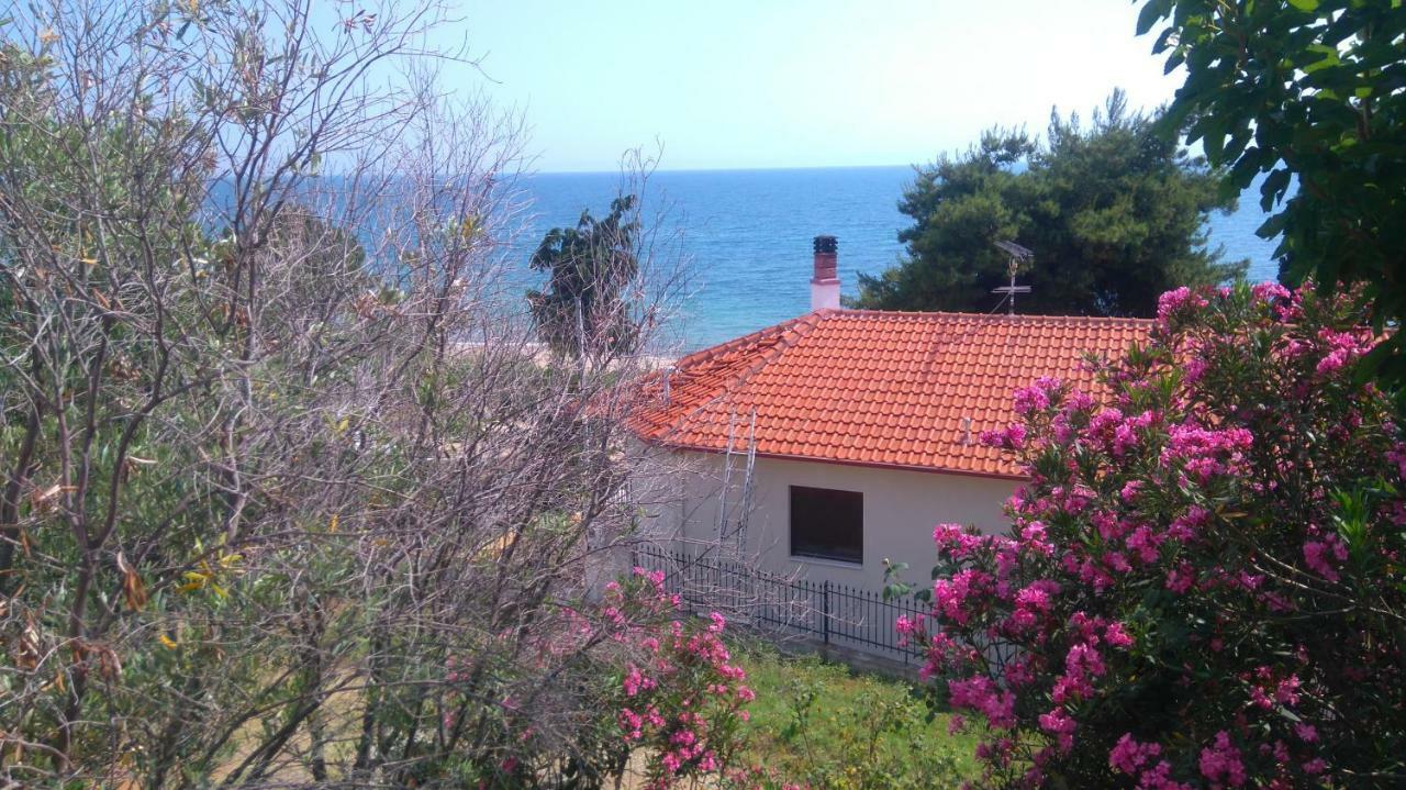 Maisonette Close To The Beach Nikíti Kültér fotó